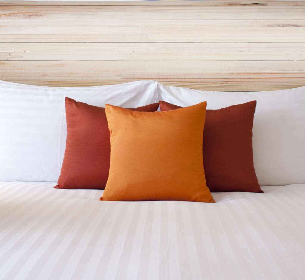 Econo Lodge Inn&Suites Sweetwater Habitación foto